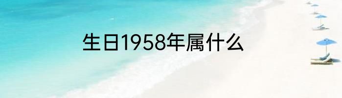生日1958年属什么