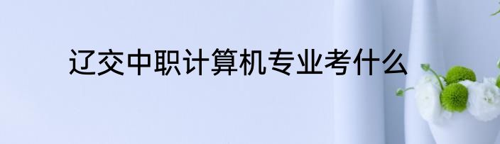 辽交中职计算机专业考什么