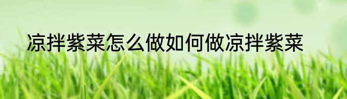 凉拌紫菜怎么做如何做凉拌紫菜