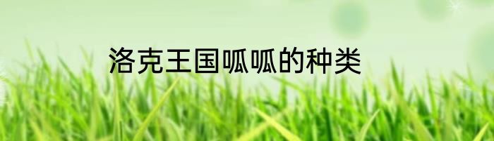 洛克王国呱呱的种类