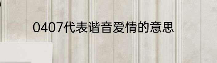 0407代表谐音爱情的意思