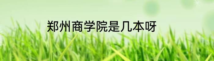郑州商学院是几本呀