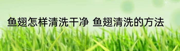 鱼翅怎样清洗干净 鱼翅清洗的方法
