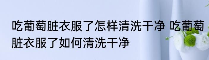 吃葡萄脏衣服了怎样清洗干净 吃葡萄脏衣服了如何清洗干净