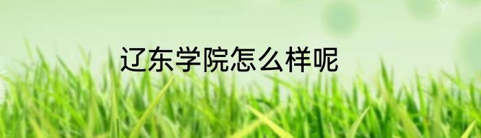 辽东学院怎么样呢