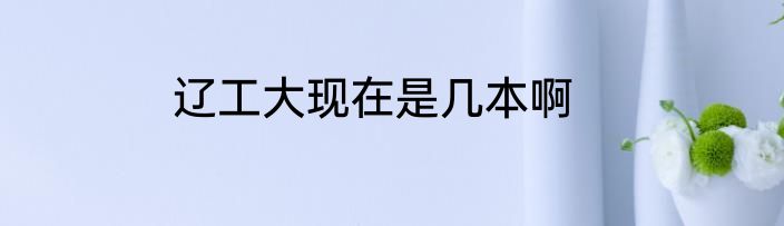 辽工大现在是几本啊