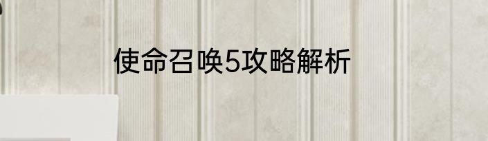 使命召唤5攻略解析