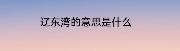 辽东湾的意思是什么