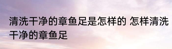 清洗干净的章鱼足是怎样的 怎样清洗干净的章鱼足