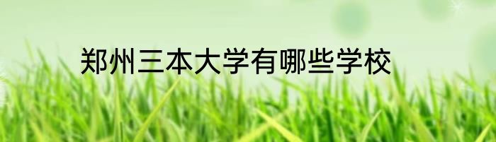 郑州三本大学有哪些学校