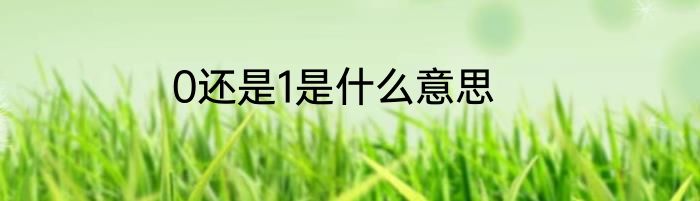 0还是1是什么意思