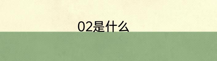 02是什么