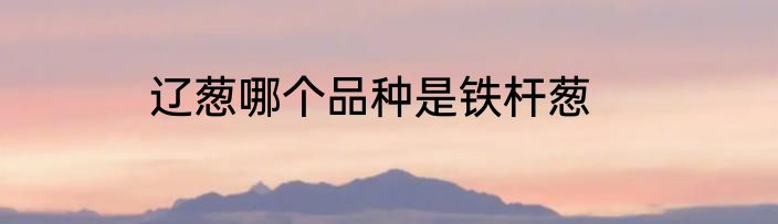 辽葱哪个品种是铁杆葱