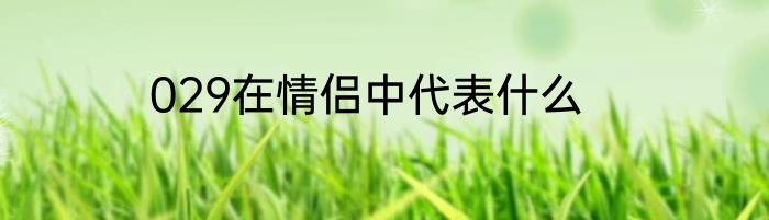 029在情侣中代表什么