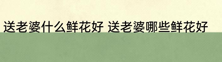送老婆什么鲜花好 送老婆哪些鲜花好