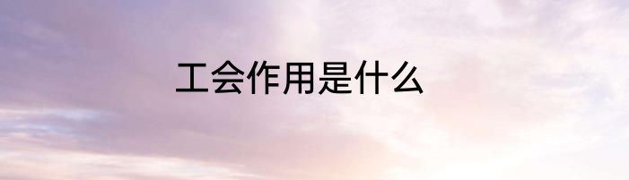 工会作用是什么