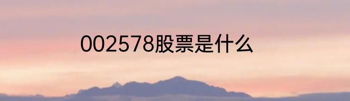 002578股票是什么