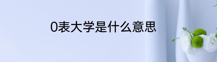 0表大学是什么意思