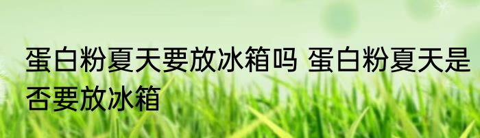 蛋白粉夏天要放冰箱吗 蛋白粉夏天是否要放冰箱