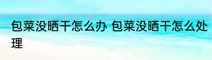 包菜没晒干怎么办 包菜没晒干怎么处理