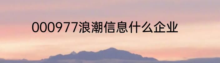 000977浪潮信息什么企业
