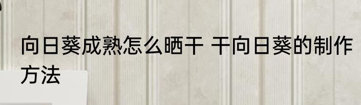 向日葵成熟怎么晒干 干向日葵的制作方法