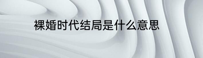 裸婚时代结局是什么意思