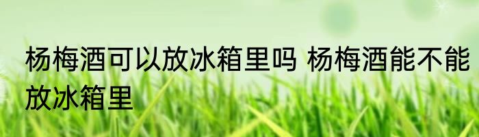杨梅酒可以放冰箱里吗 杨梅酒能不能放冰箱里