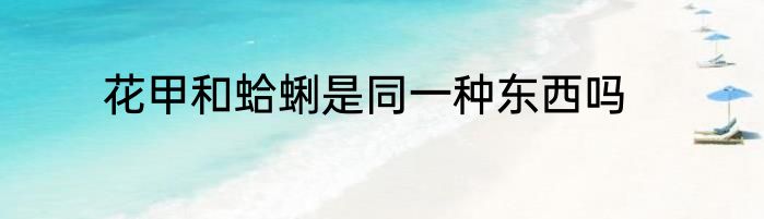 花甲和蛤蜊是同一种东西吗