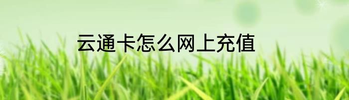 云通卡怎么网上充值