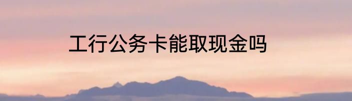 工行公务卡能取现金吗