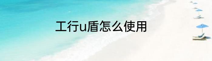 工行u盾怎么使用