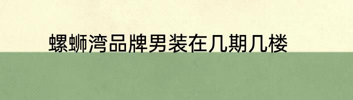 螺蛳湾品牌男装在几期几楼