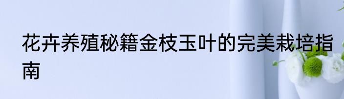 花卉养殖秘籍金枝玉叶的完美栽培指南