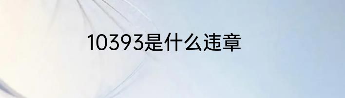 10393是什么违章