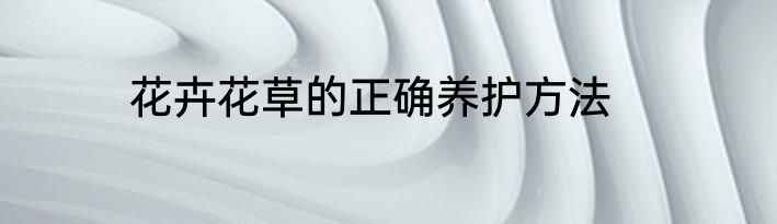 花卉花草的正确养护方法