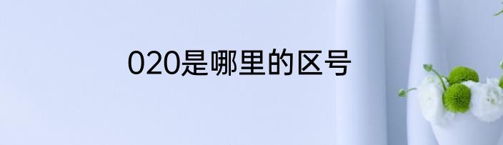 020是哪里的区号