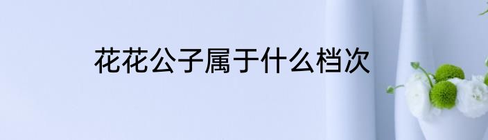 花花公子属于什么档次