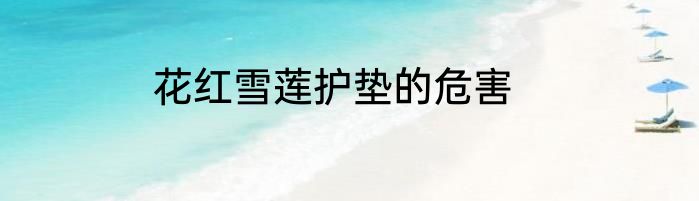花红雪莲护垫的危害