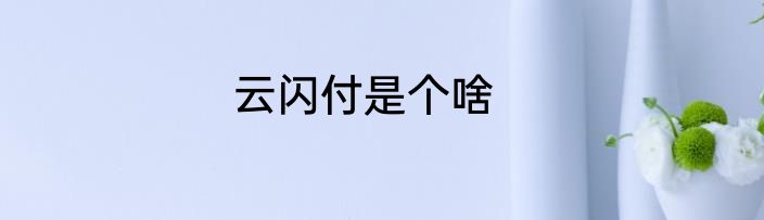 云闪付是个啥