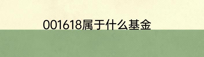 001618属于什么基金
