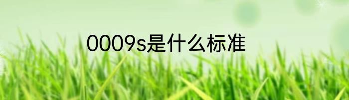 0009s是什么标准