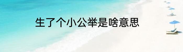 生了个小公举是啥意思