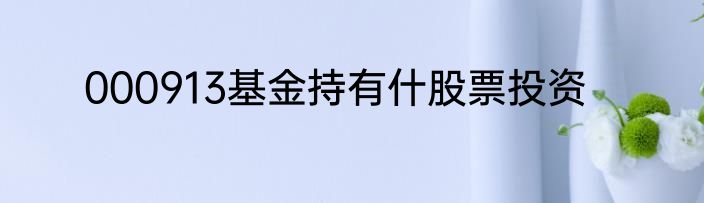 000913基金持有什股票投资