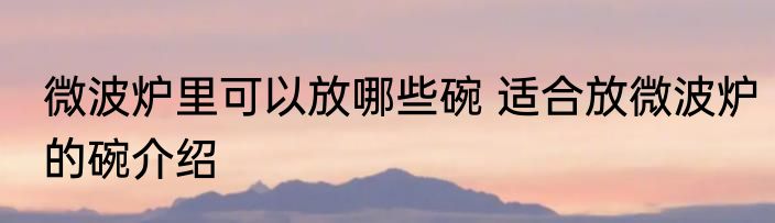 微波炉里可以放哪些碗 适合放微波炉的碗介绍