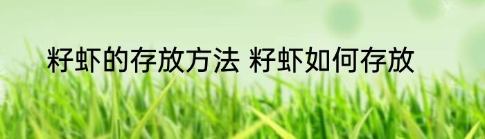 籽虾的存放方法 籽虾如何存放