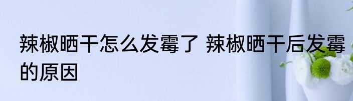 辣椒晒干怎么发霉了 辣椒晒干后发霉的原因