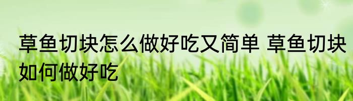 草鱼切块怎么做好吃又简单 草鱼切块如何做好吃