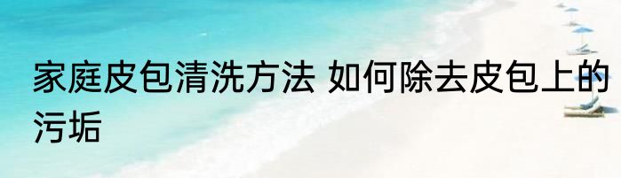 家庭皮包清洗方法 如何除去皮包上的污垢
