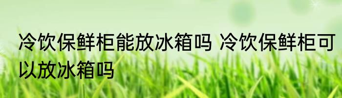 冷饮保鲜柜能放冰箱吗 冷饮保鲜柜可以放冰箱吗